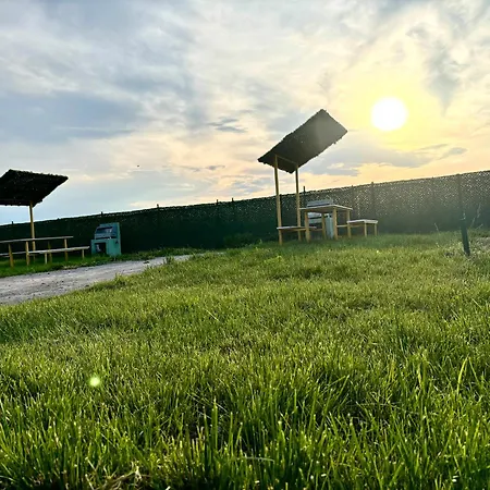 Sax Casute 8 Persoane コスティネシュティ