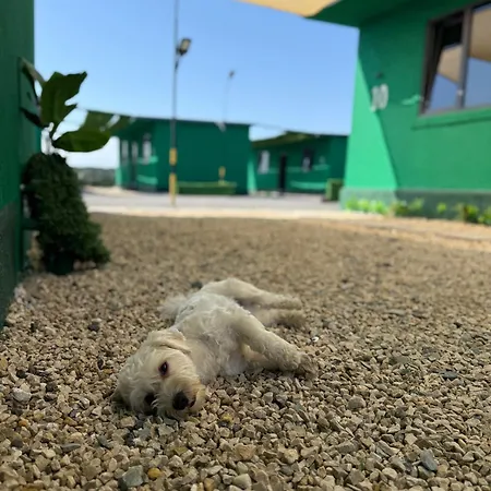 Sax Casute 8 Persoane キャンプ場